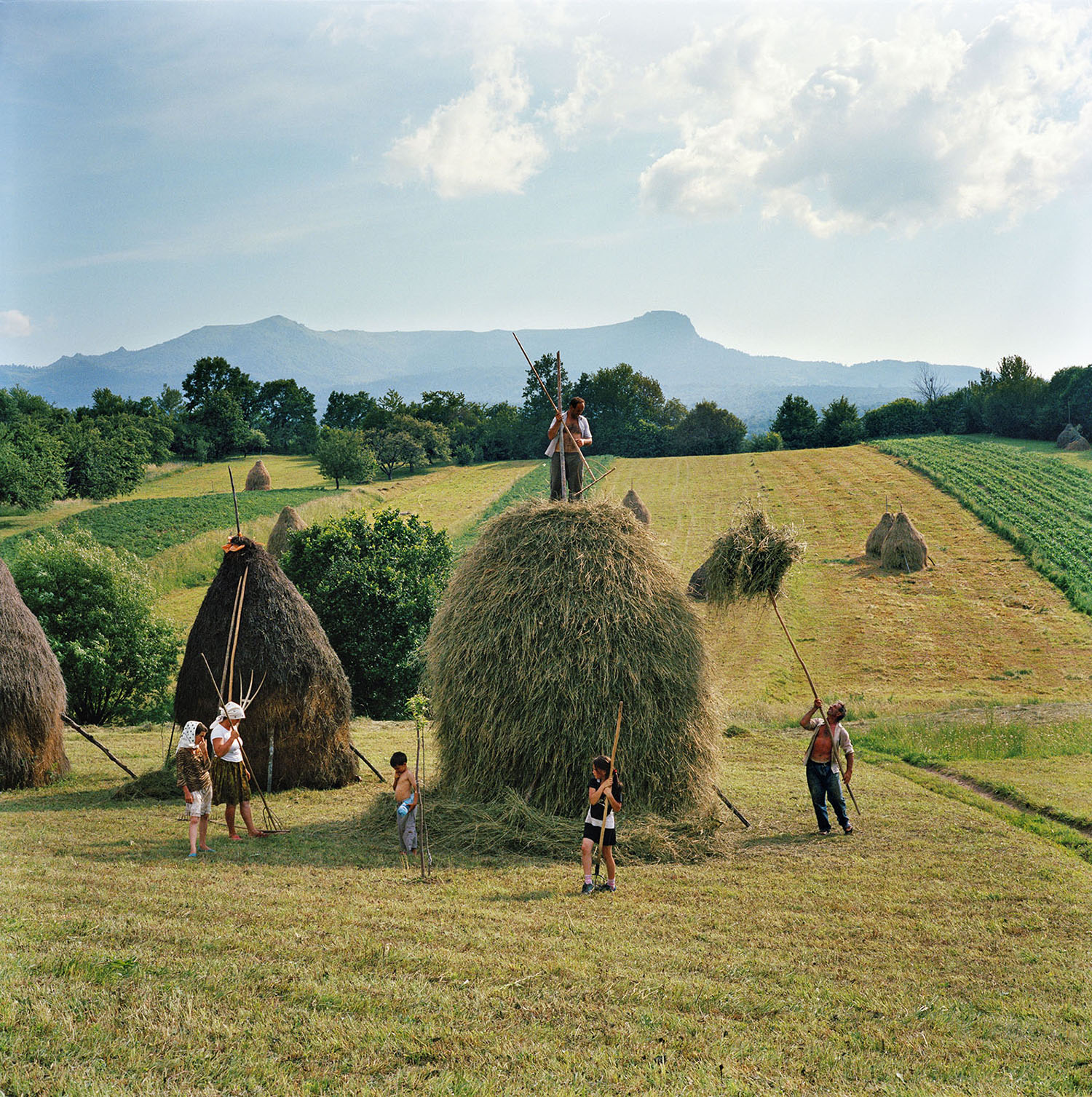 Effendi_Transylvania_001