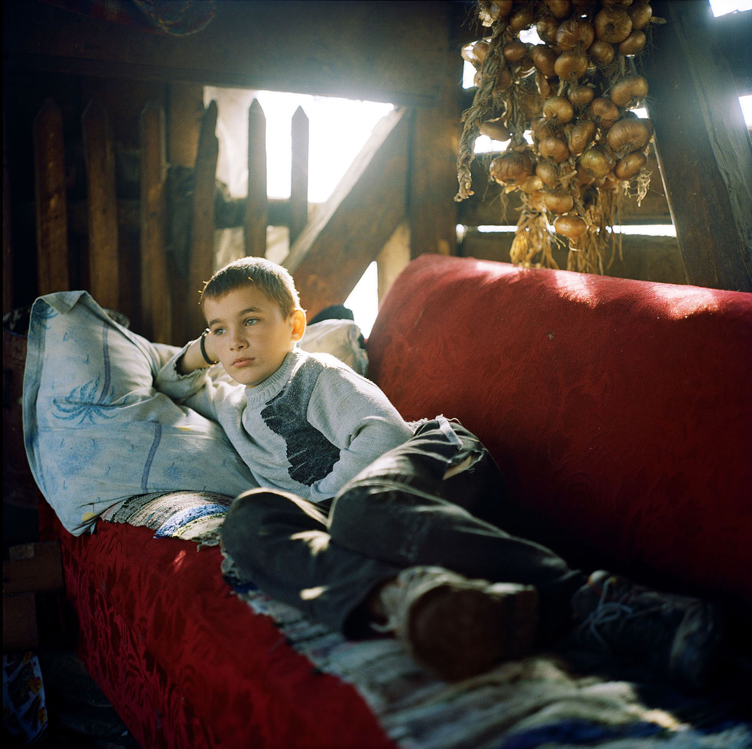 Effendi_Transylvania_004